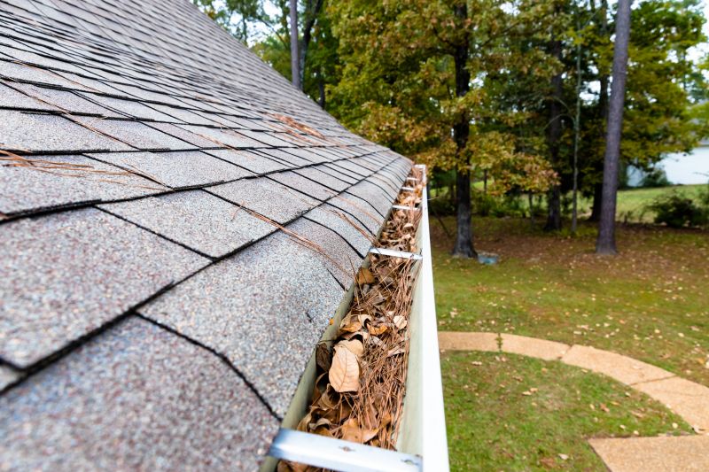 Commercial Gutter Maintenance detail