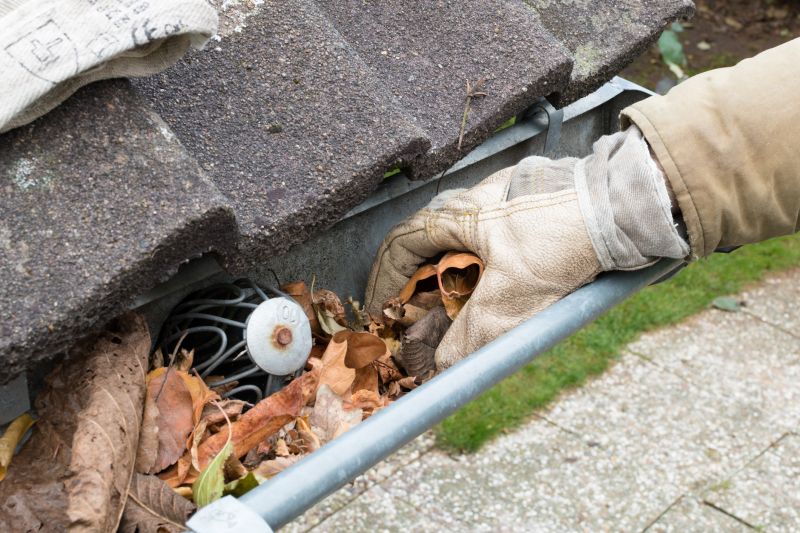 Gutter Debris Removal