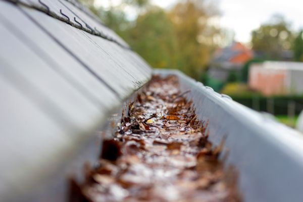 Commercial Gutter Cleaning in Fuquay Varina