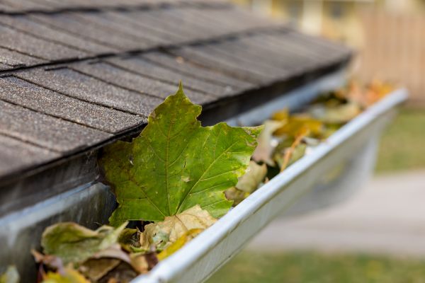 Commercial Downspout Cleaning in Fuquay Varina