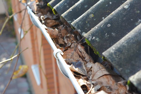 Home Gutter Cleaning in Fuquay Varina