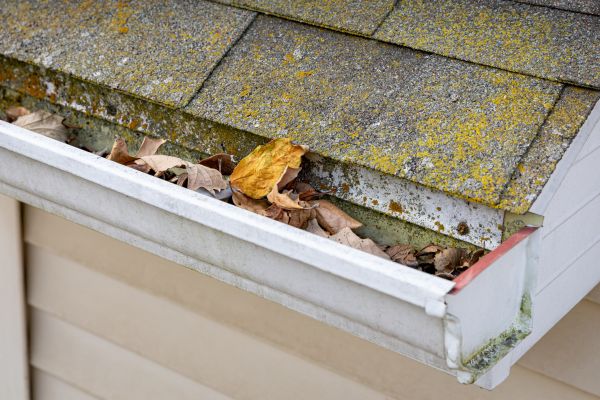 Garage Gutter Cleaning in Fuquay Varina