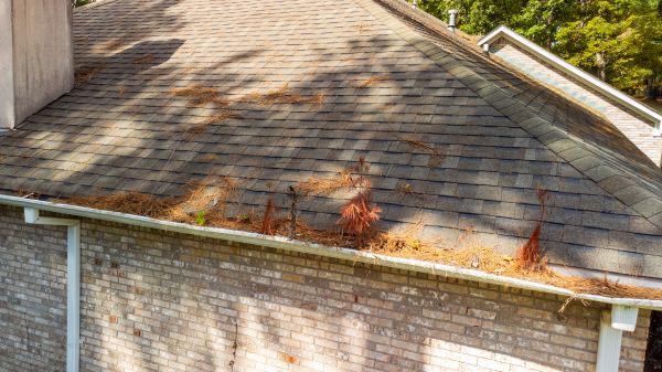 Gutter Pine Needle Removal in Fuquay Varina